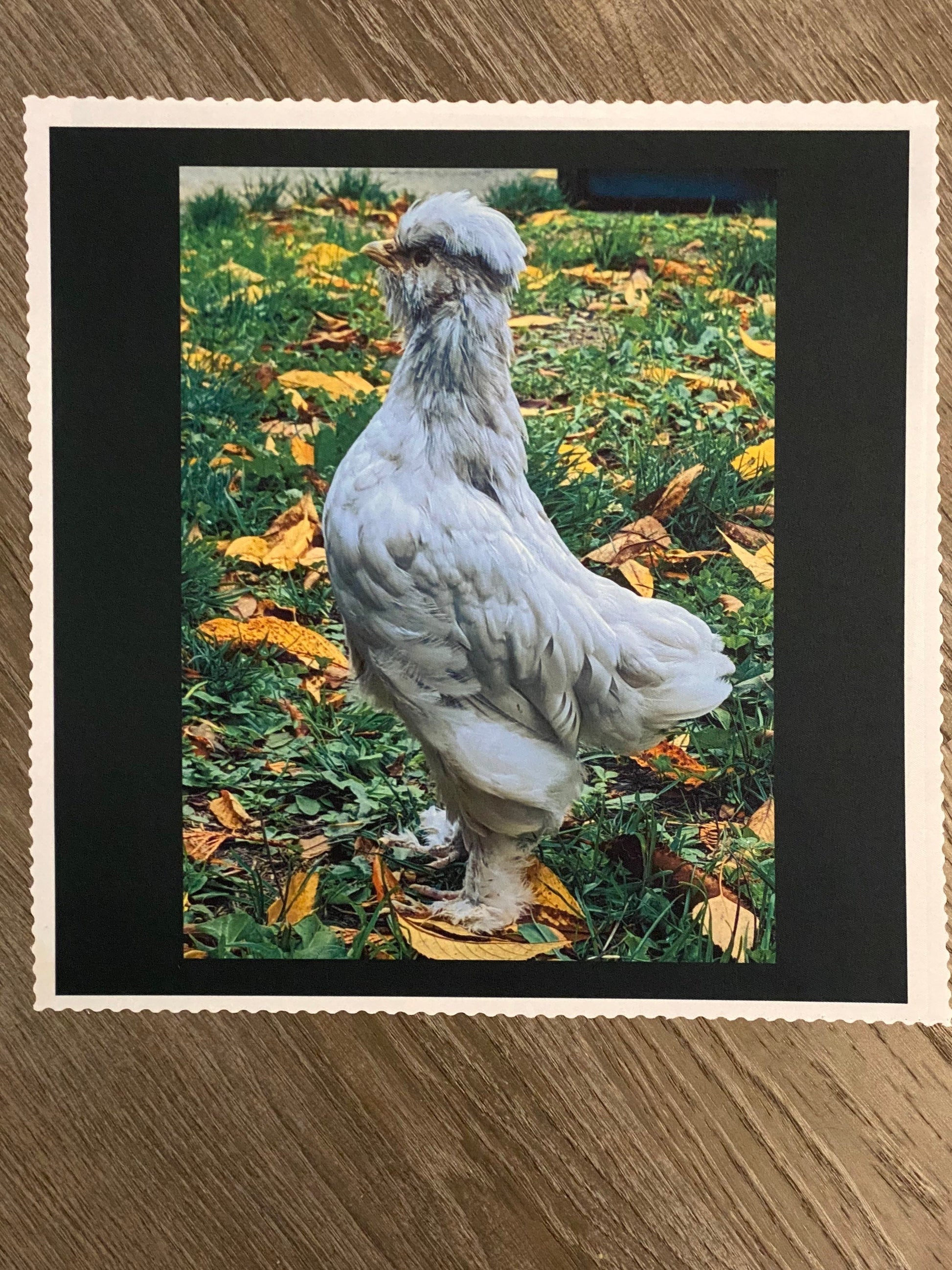 Large Photo Fabric Panels