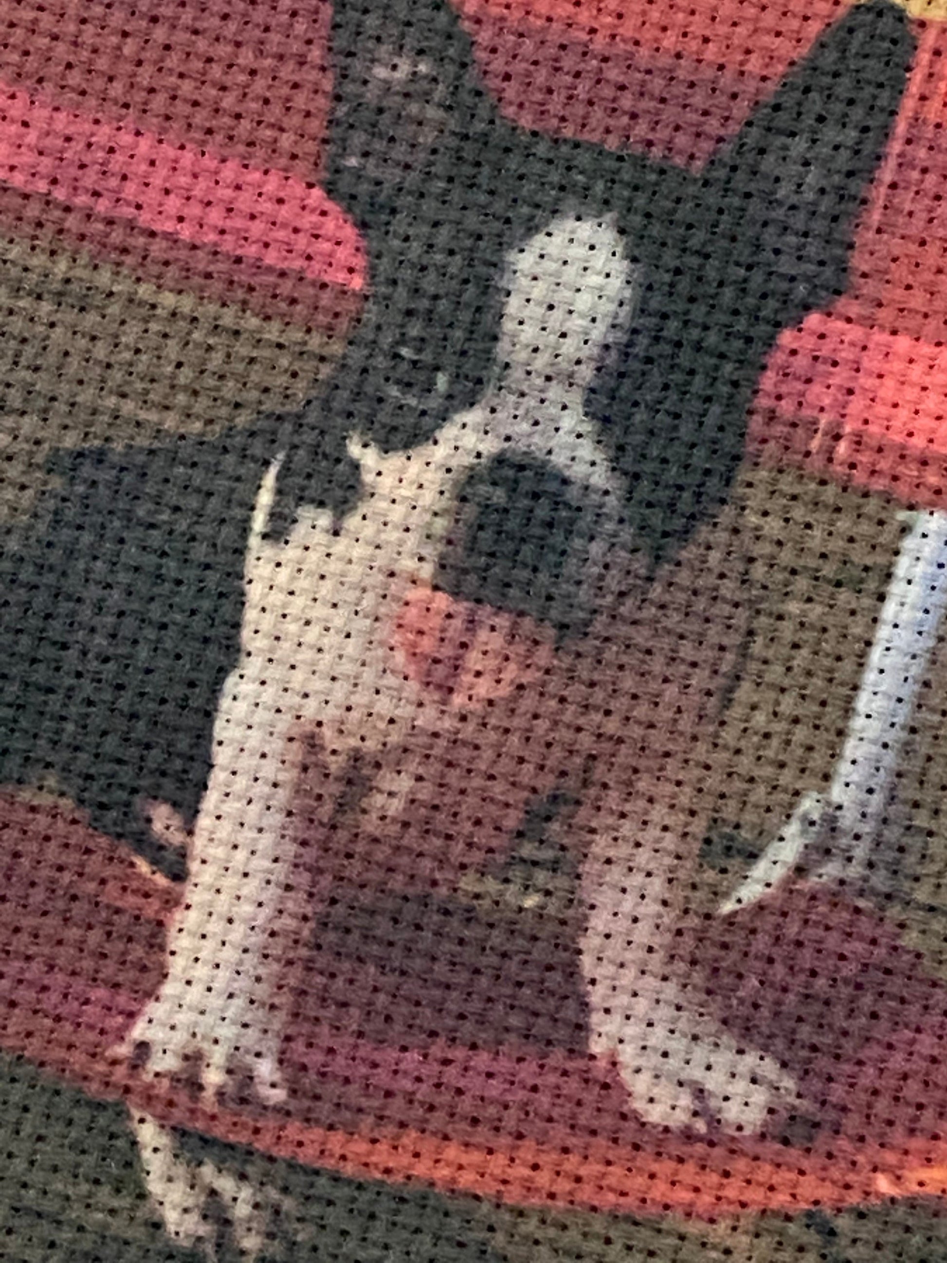 Your Photo on Aida Embroidery Fabric - Aida Cross Stitch Pattern